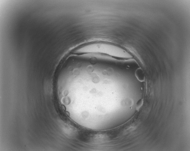 X0000068770204200605051640