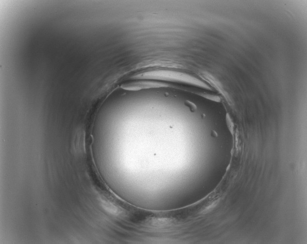 X0000068770205200605051640