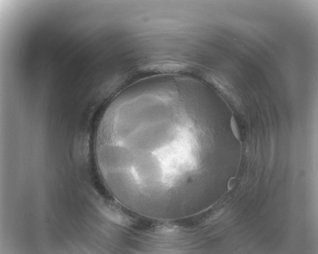 X0000068770206200605051640