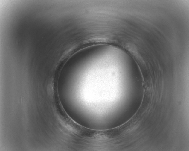 X0000068770207200605051640