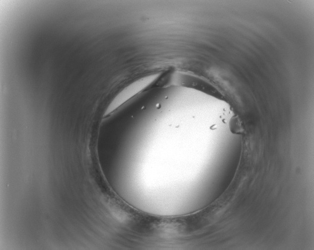 X0000068770209200605051640