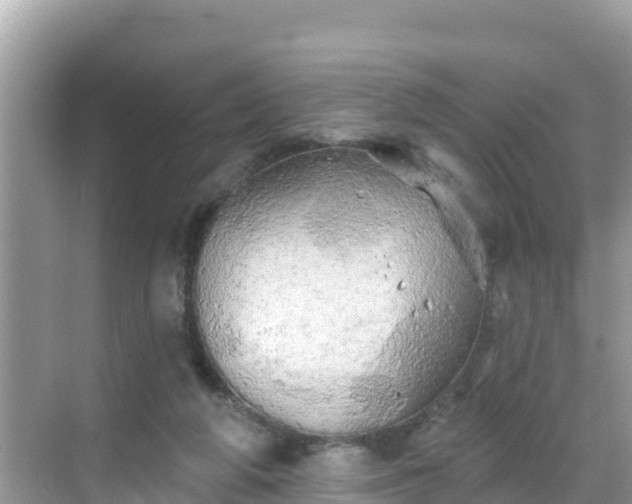 X0000068770210200605051640