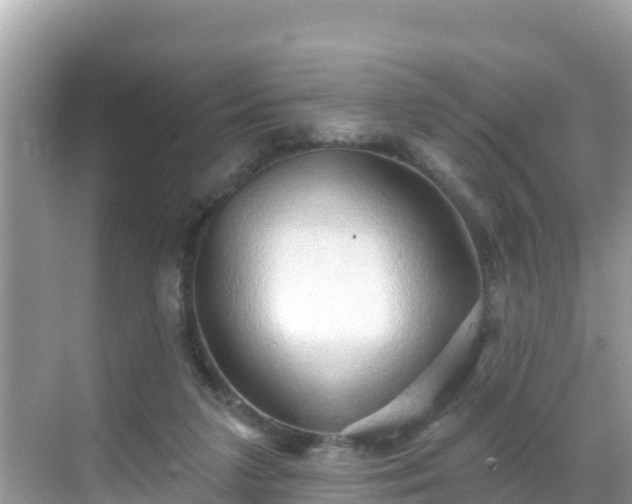 X0000068770211200605051640