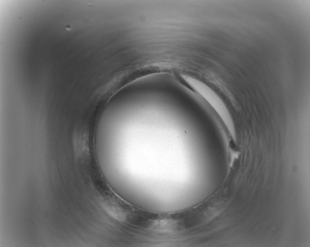 X0000068770212200605051640