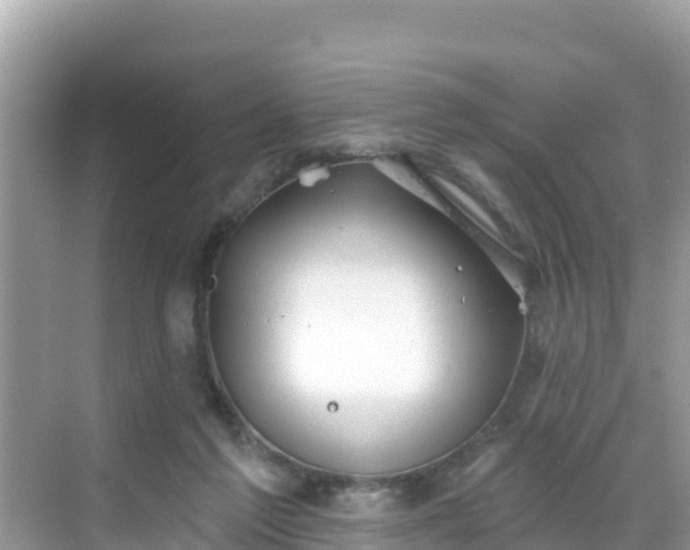 X0000068770213200605051640