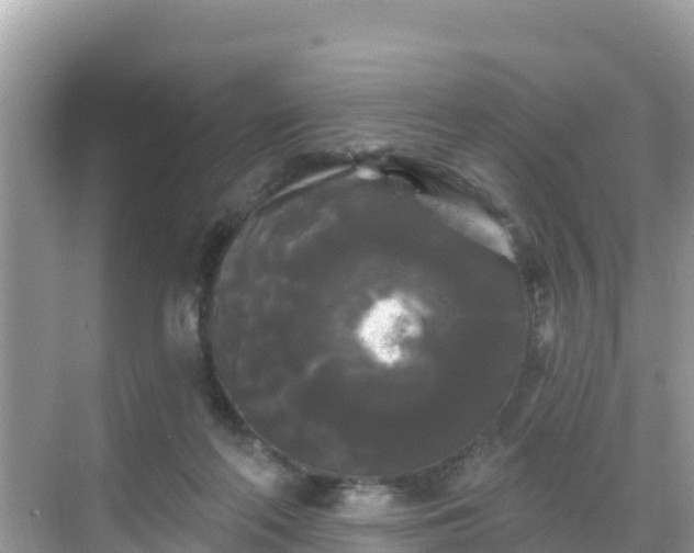 X0000068770214200605051640