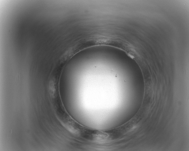 X0000068770215200605051640