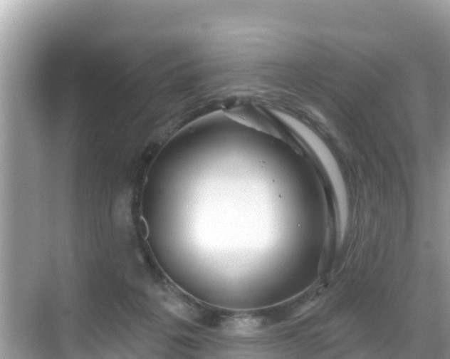 X0000068770217200605051640