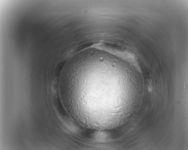 X0000068770218200605051640