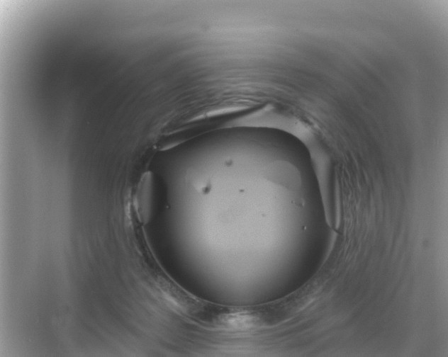 X0000068770219200605051640