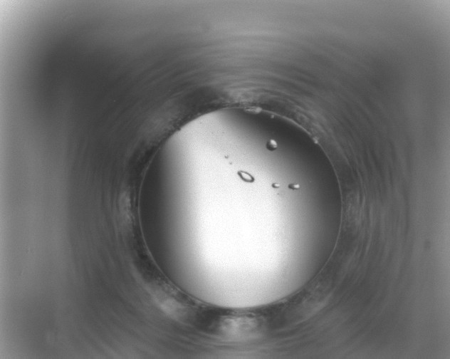 X0000068770220200605051640