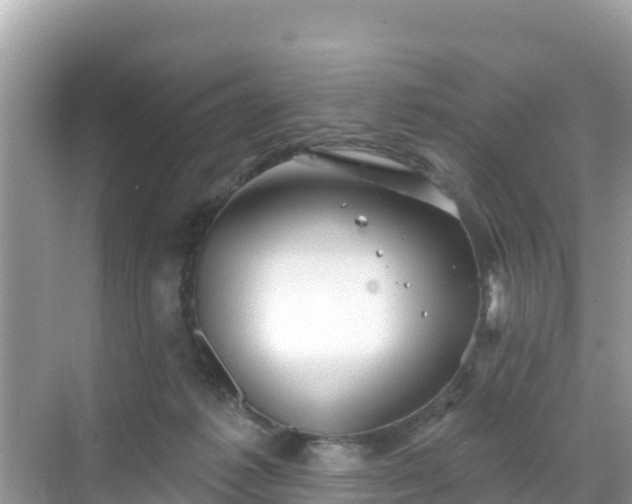 X0000068770221200605051640