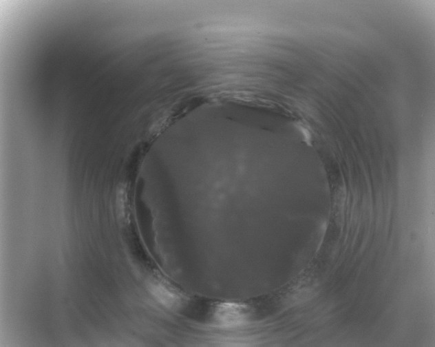 X0000068770222200605051640