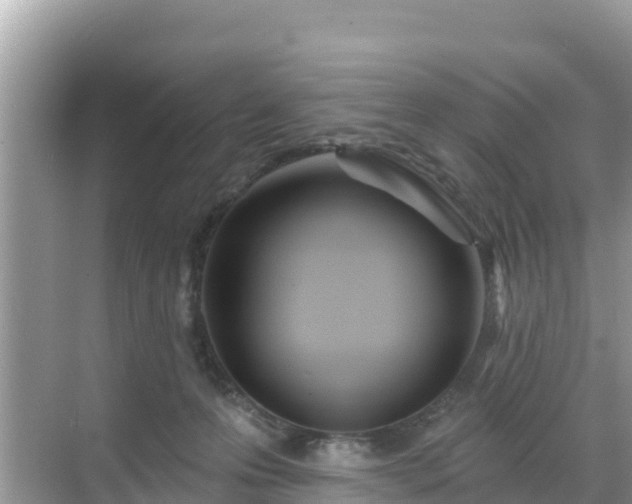 X0000068770223200605051640