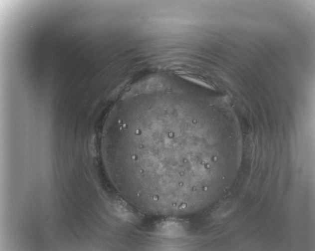 X0000068770224200605051640