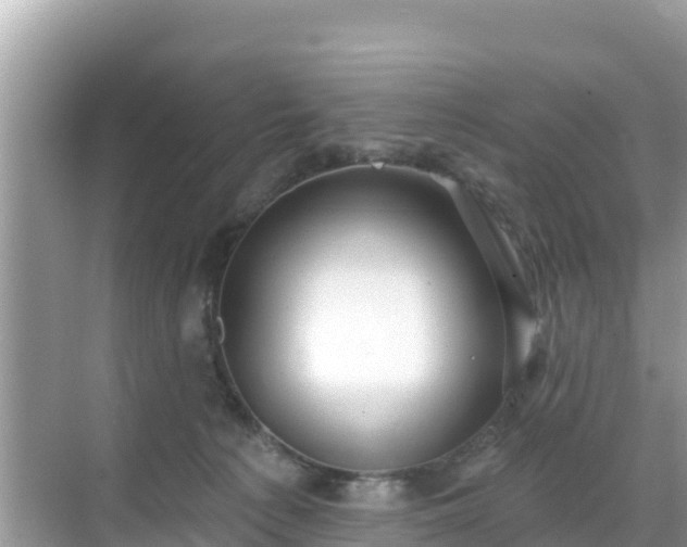 X0000068770225200605051640