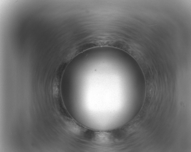 X0000068770226200605051640