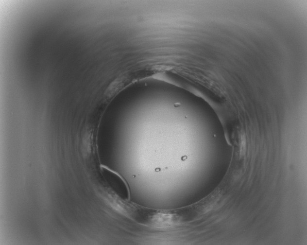 X0000068770227200605051640