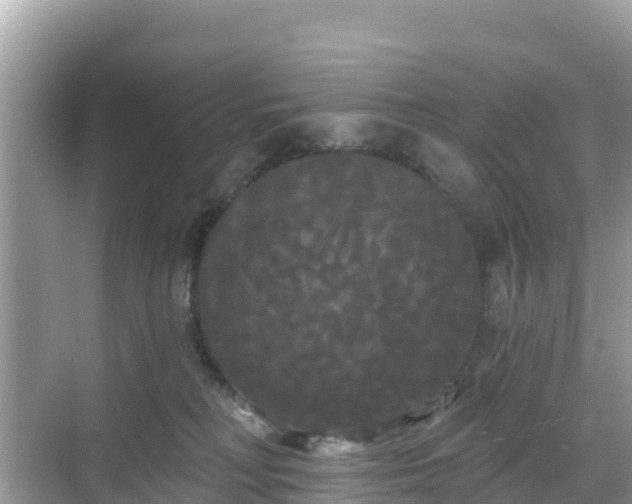 X0000068770230200605051640