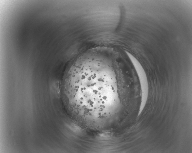 X0000068770232200605051640