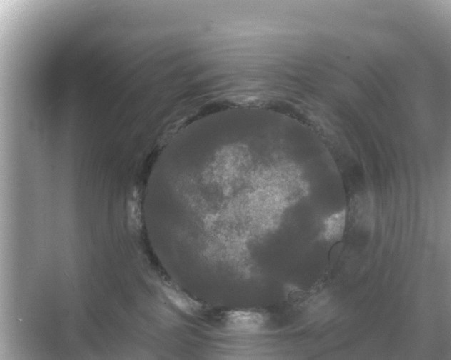 X0000068770234200605051640