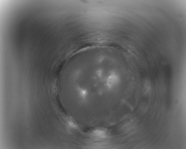 X0000068770236200605051640