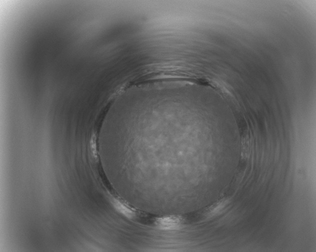 X0000068770238200605051640