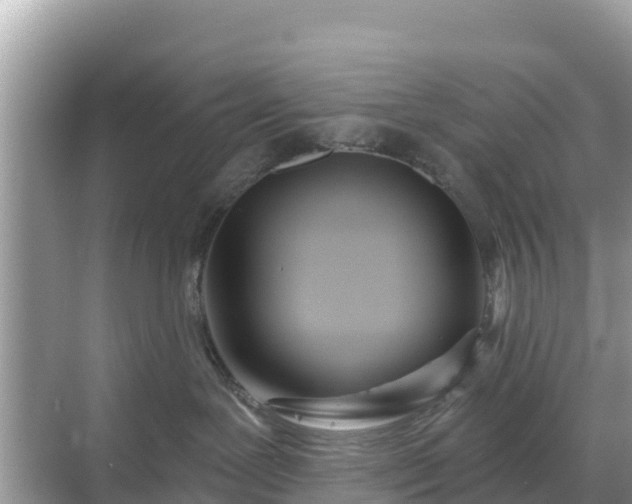 X0000068770239200605051639