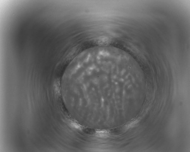 X0000068770240200605051639