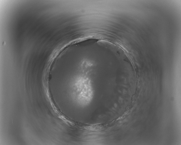 X0000068770241200605051639