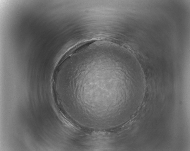 X0000068770242200605051639