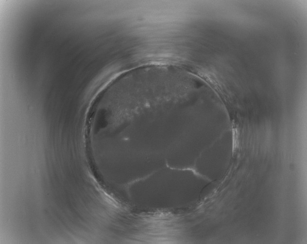 X0000068770243200605051639