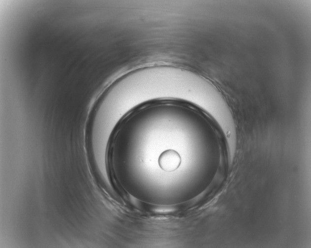 X0000068770244200605051639