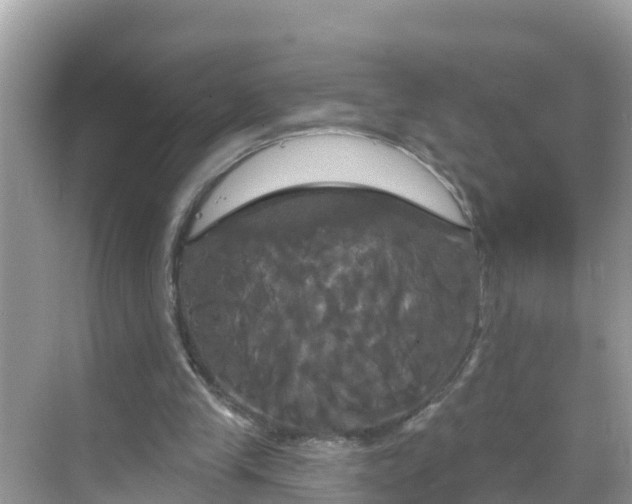 X0000068770245200605051639