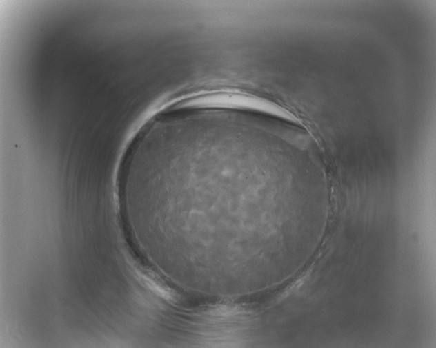 X0000068770246200605051639