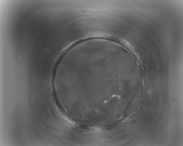 X0000068770249200605051639