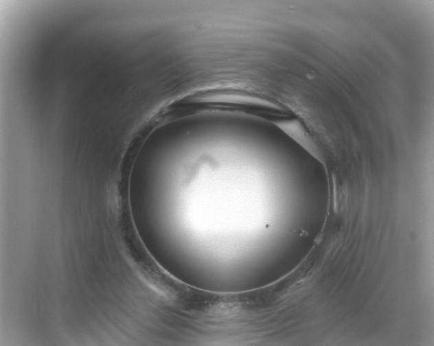 X0000068770252200605051639