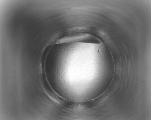 X0000068770254200605051639