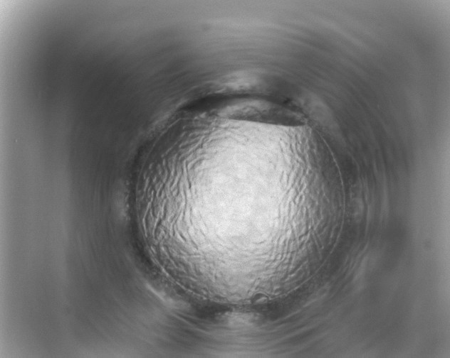 X0000068770255200605051639