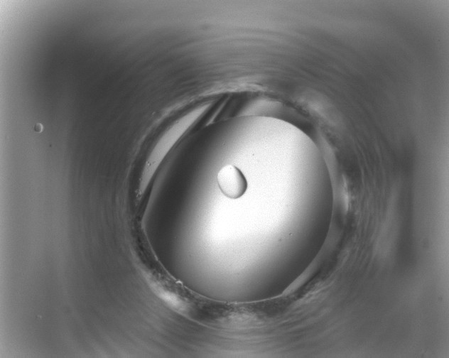 X0000068770256200605051639