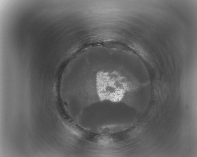 X0000068770258200605051639