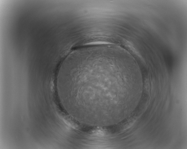 X0000068770259200605051639