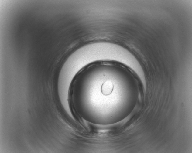 X0000068770260200605051639