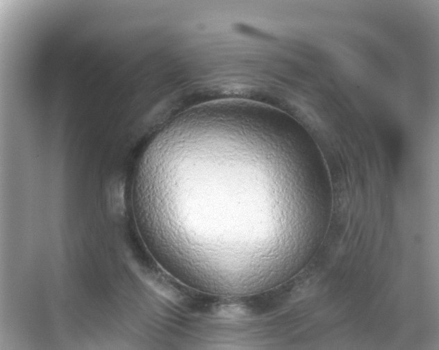 X0000068770262200605051639