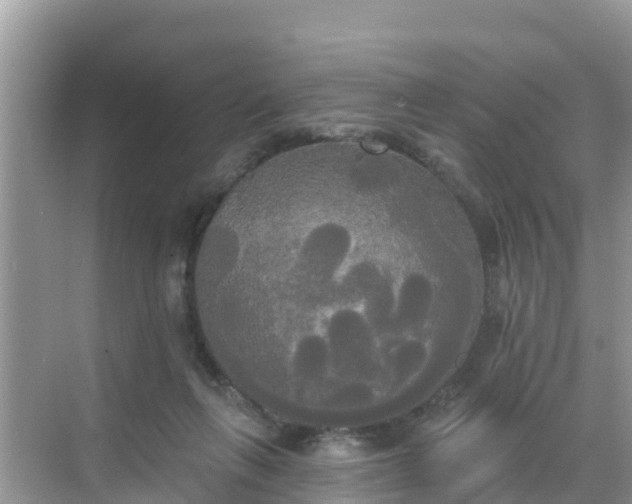 X0000068770263200605051639