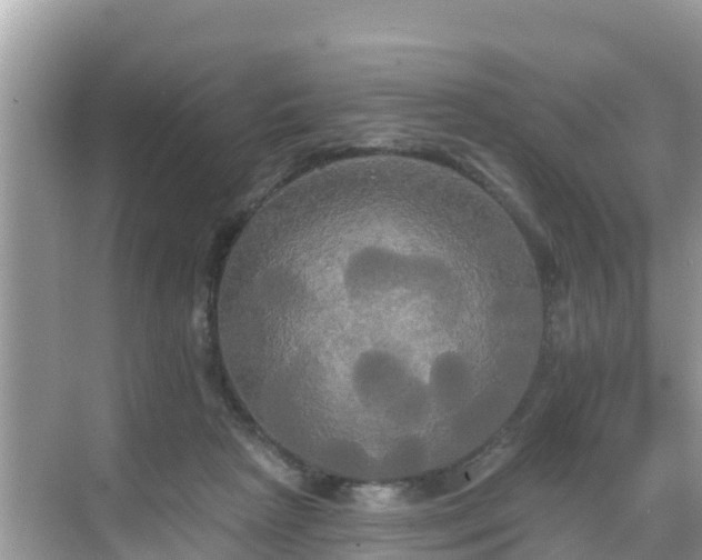 X0000068770265200605051639