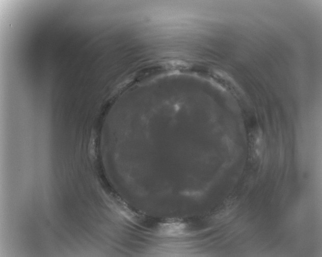 X0000068770266200605051639