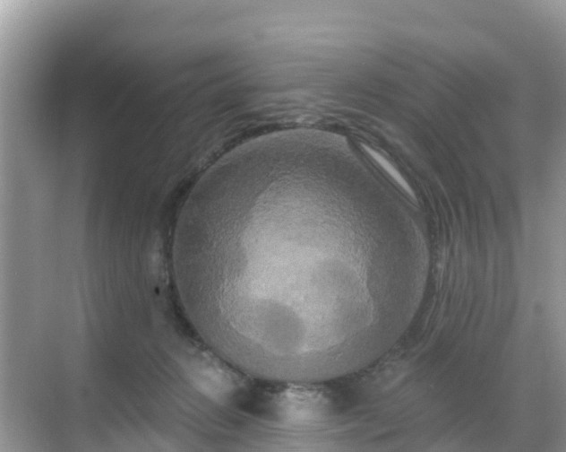 X0000068770270200605051639