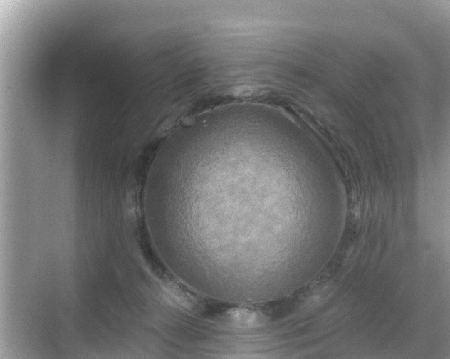 X0000068770272200605051639