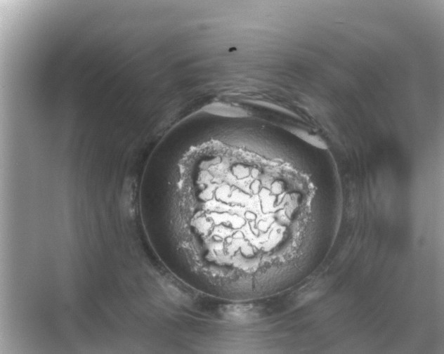 X0000068770273200605051639